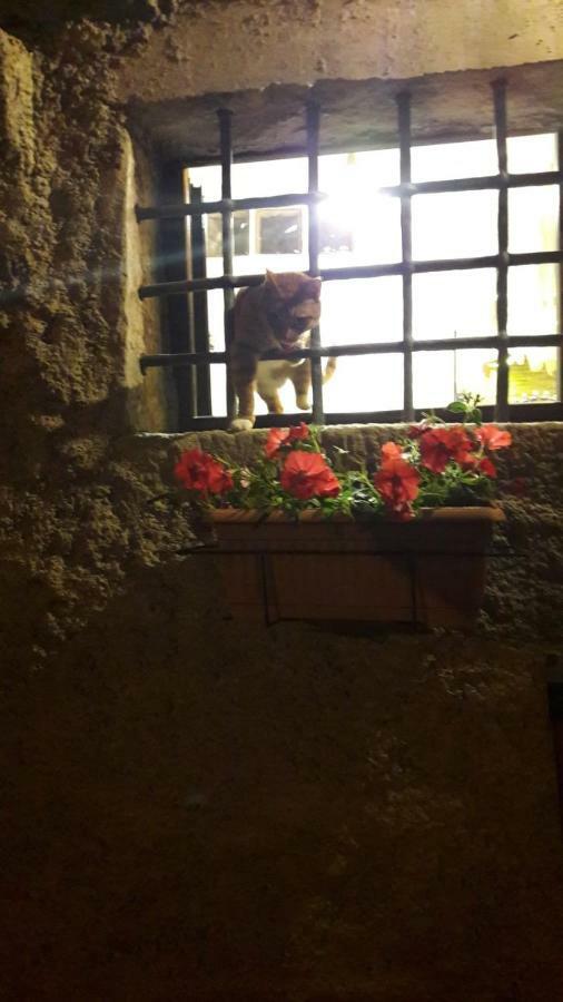 L'Arco Di Sersa Ricco del Golfo di Spezia Luaran gambar