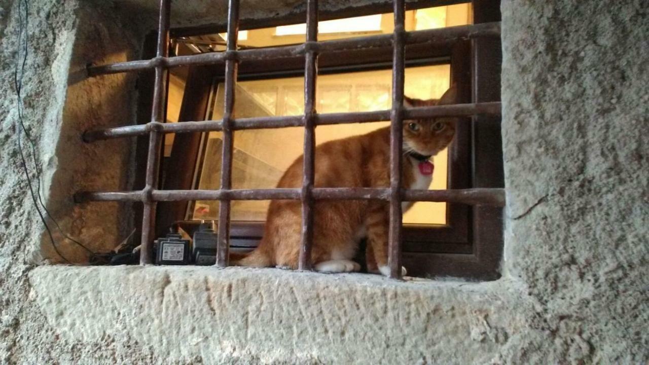 L'Arco Di Sersa Ricco del Golfo di Spezia Luaran gambar